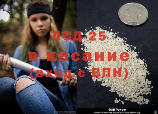 стафф Богородицк