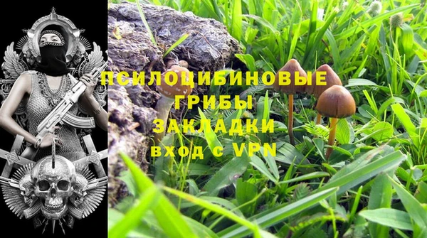 МДПВ Беломорск
