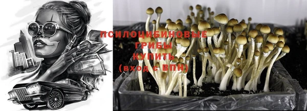 МДПВ Беломорск