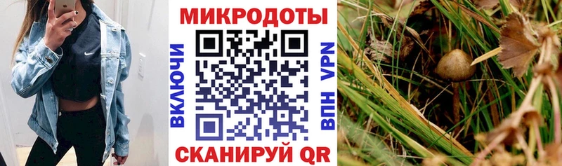 ОМГ ОМГ вход  где можно купить   Уфа  Галлюциногенные грибы мицелий 